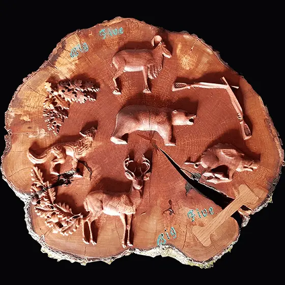 3d lasersko skeniranje in preslikava koordinat lesa detailwood